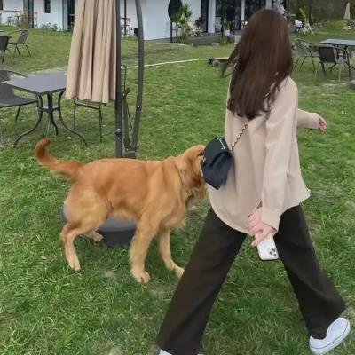 钢锯恶魔